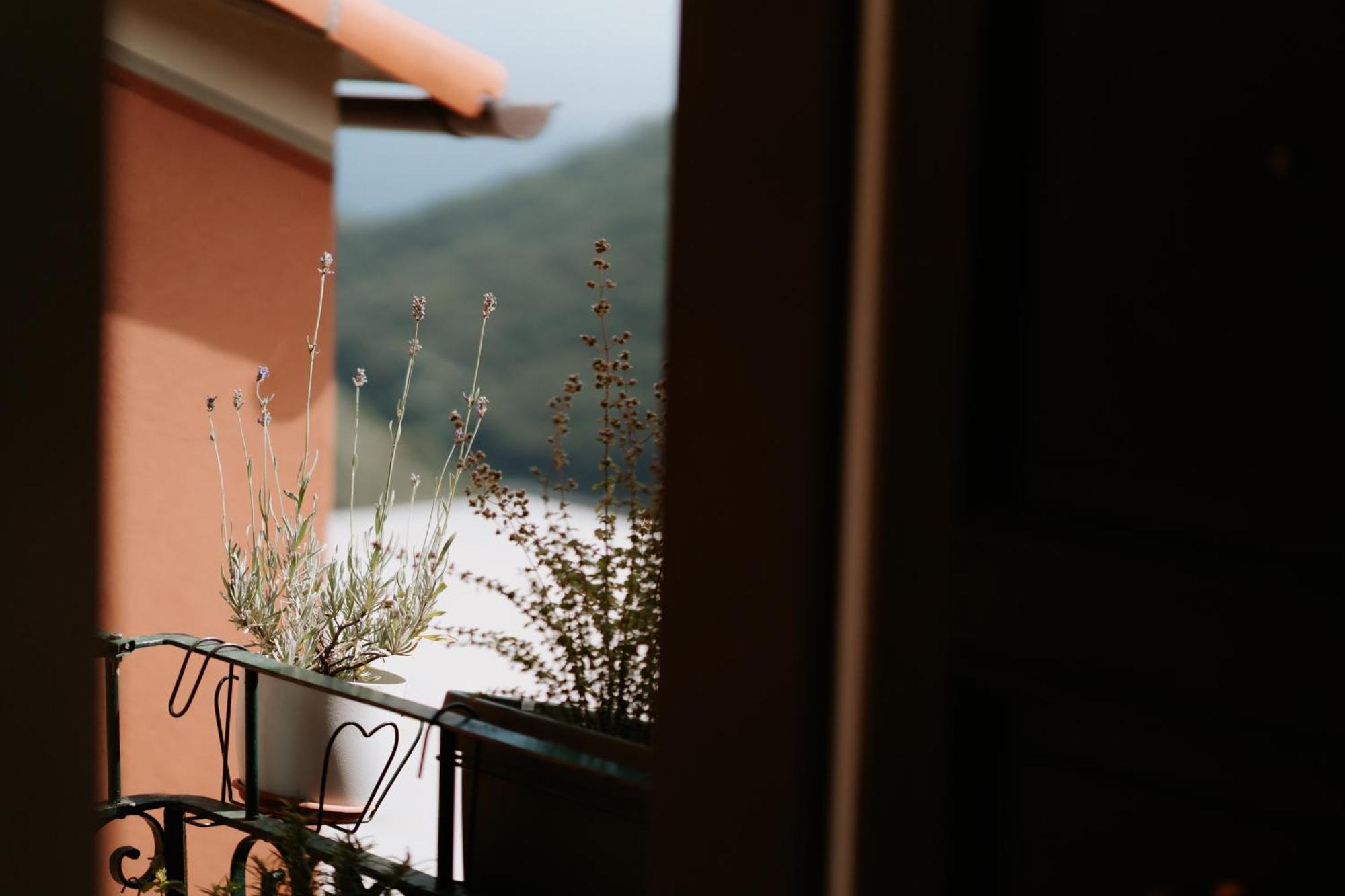 Il Castagno Holiday Home Teriasca Dış mekan fotoğraf